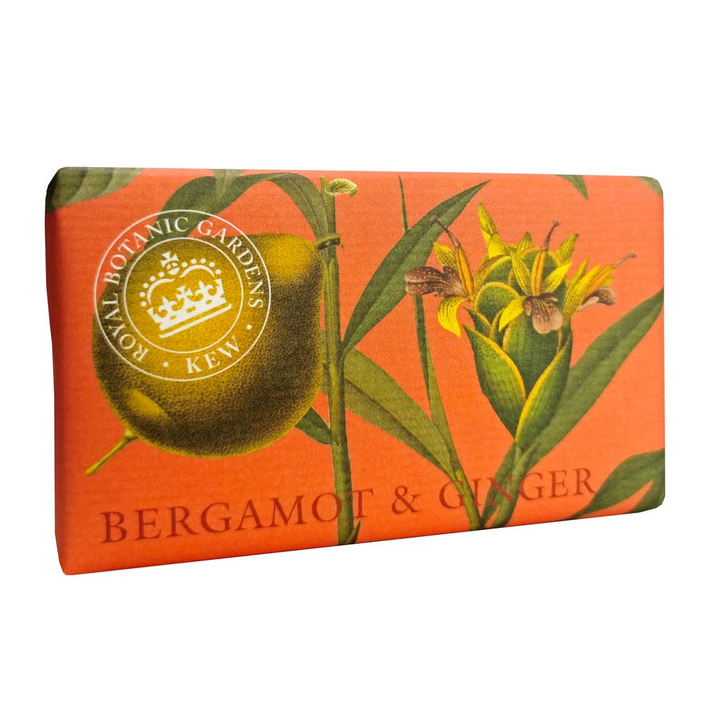 “Seifendose mit botanischer Illustration von Bergamotte und Ingwer auf orangem Hintergrund, Aufschrift: Bergamot & Ginger.”