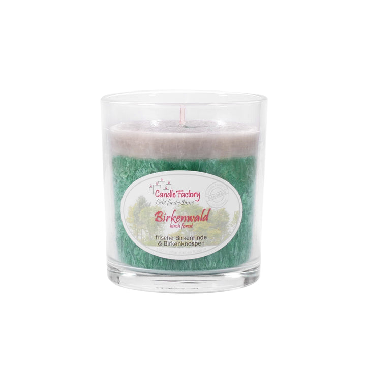 Duftkerze ‚Birkenwald‘ im transparenten Glasbehälter – Party Light von Candle Factory mit grünem Wachs und weißer Deckschicht, Etikett mit Naturmotiv und Duftbeschreibung ‚frische Birkenrinde & Birkenknospen‘