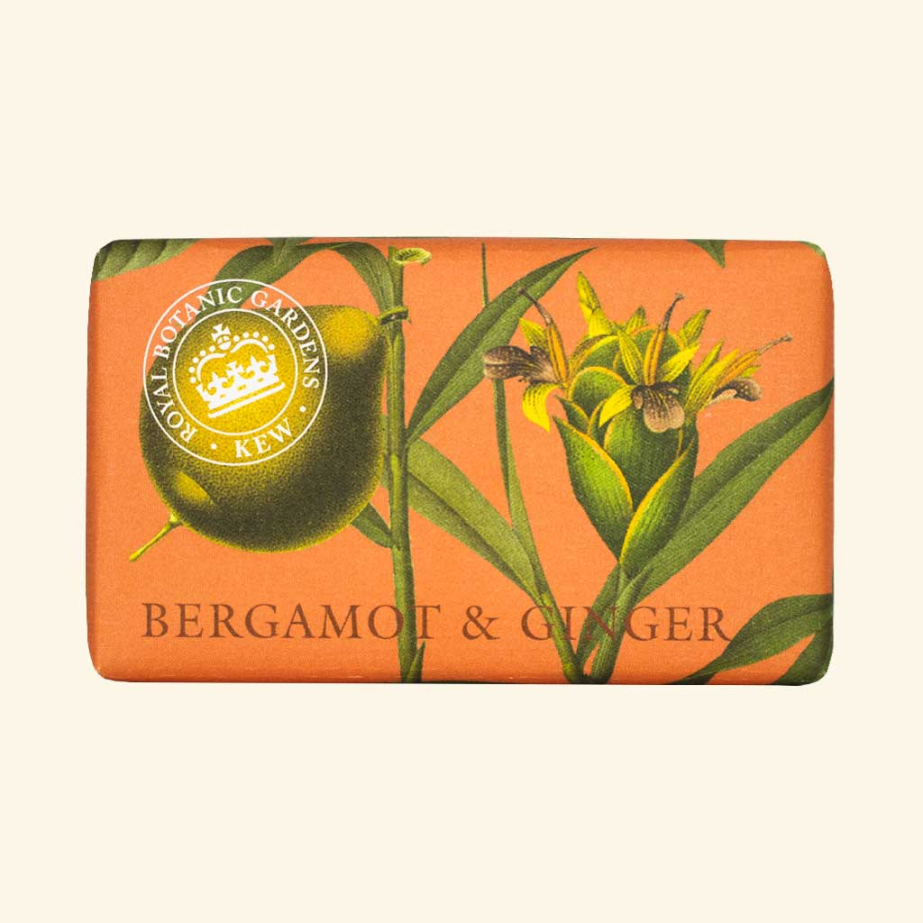 Seifendose mit botanischem Motiv von Bergamotte und Ingwer, verziert mit Pflanzenillustrationen in Orange und Grün, Aufschrift Bergamot & Ginger.