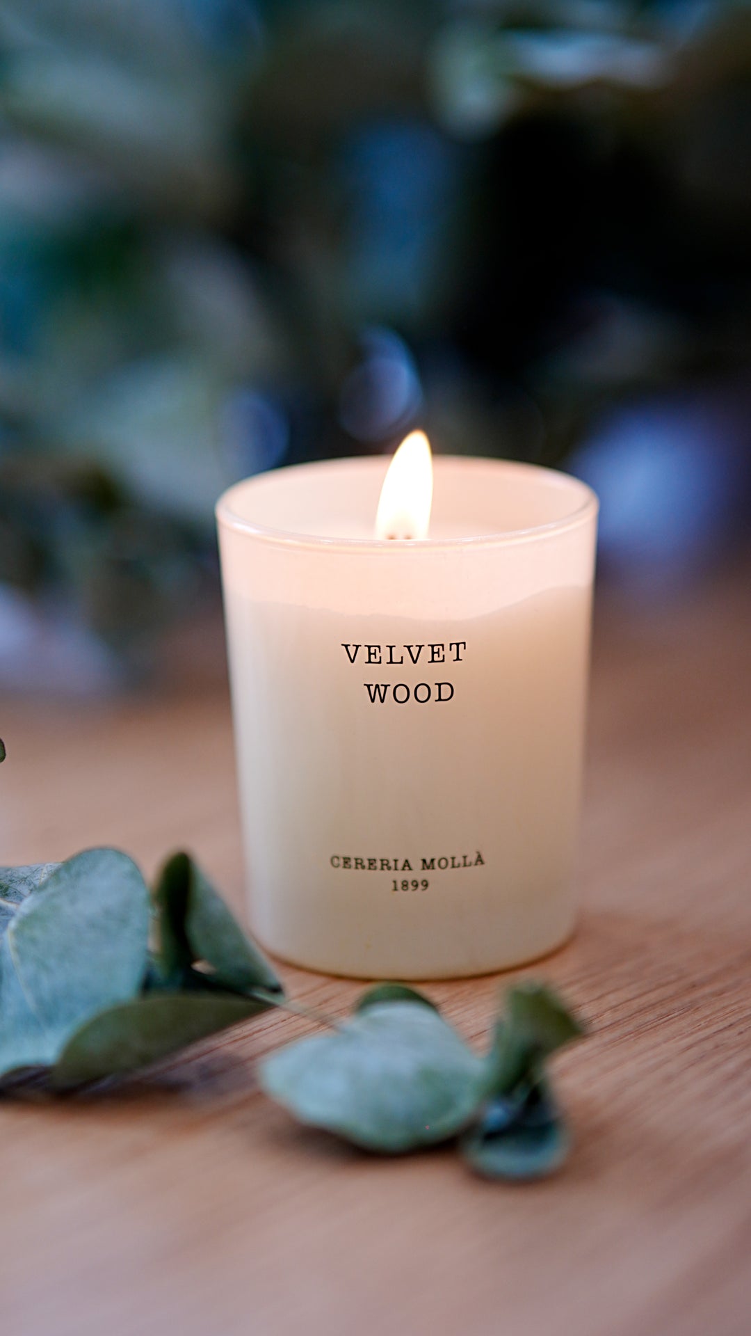 Brennende Velvet Wood Duftkerze von Cereria Mollá 1899 auf Holztisch mit Eukalyptusblättern, warmes Licht und elegante Atmosphäre.